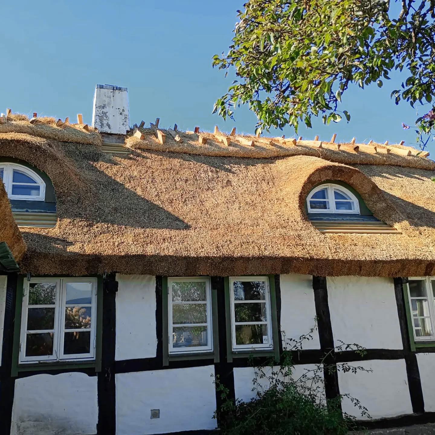 Ryggning, förstärkning, brandsäkring och löpande service