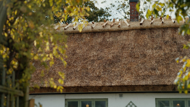 Vasstaksservice Syd - Vasstak och halmtak